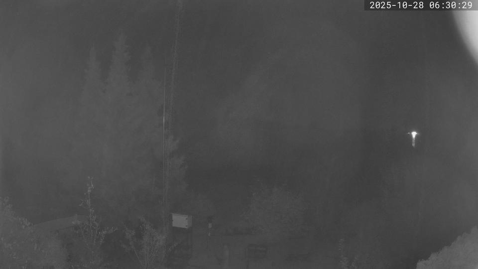 Webcam live 