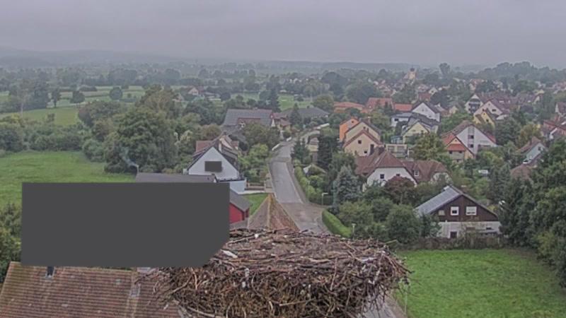 Webcam live 