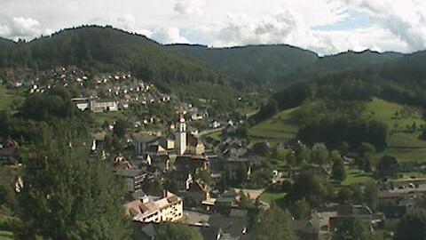 Webcam live 
