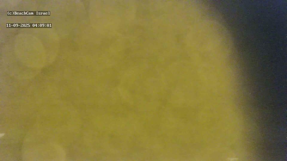 Webcam live 