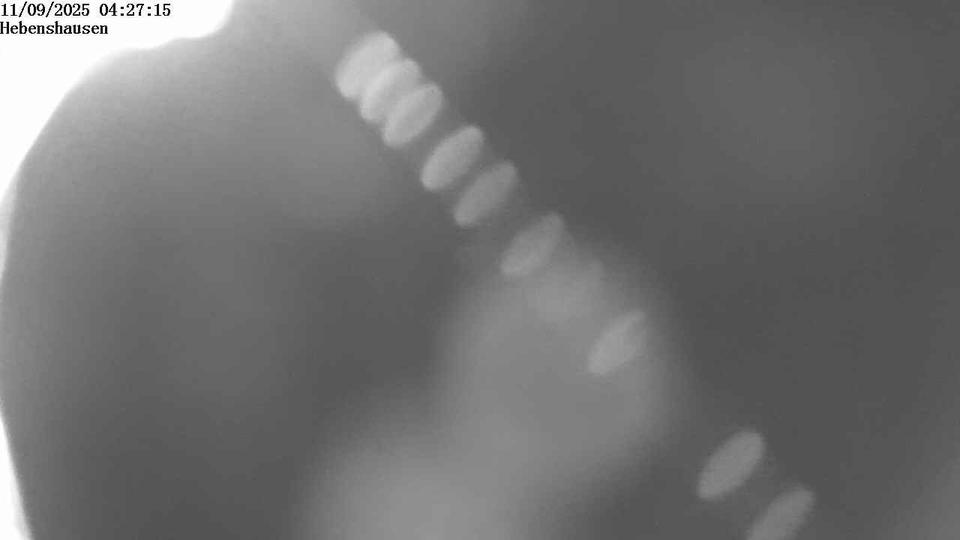 Webcam live 