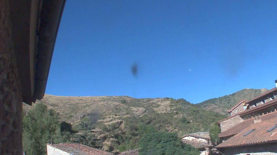 Webcam live 