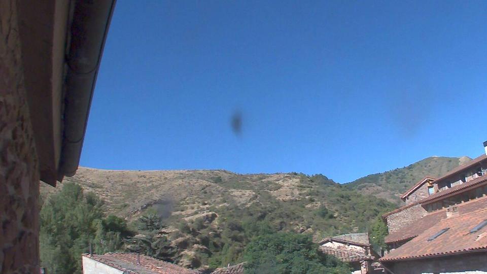 Webcam live 