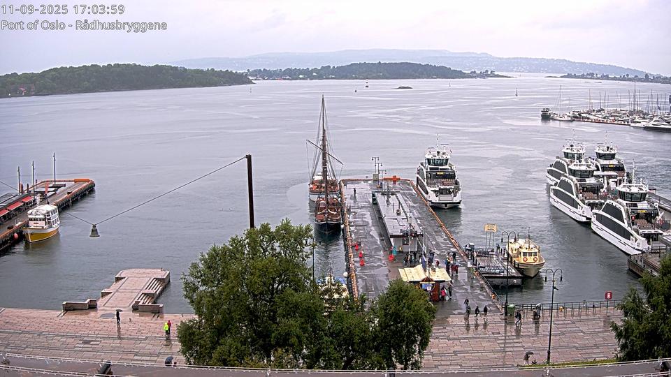 Webcam live 