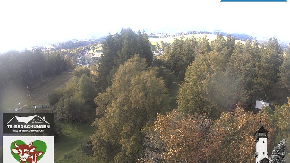 Webcam live 