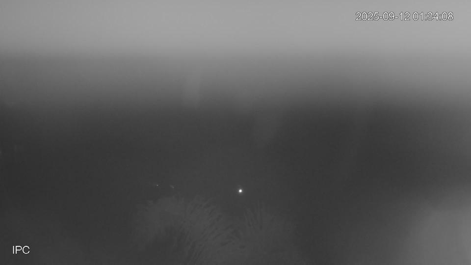Webcam live 