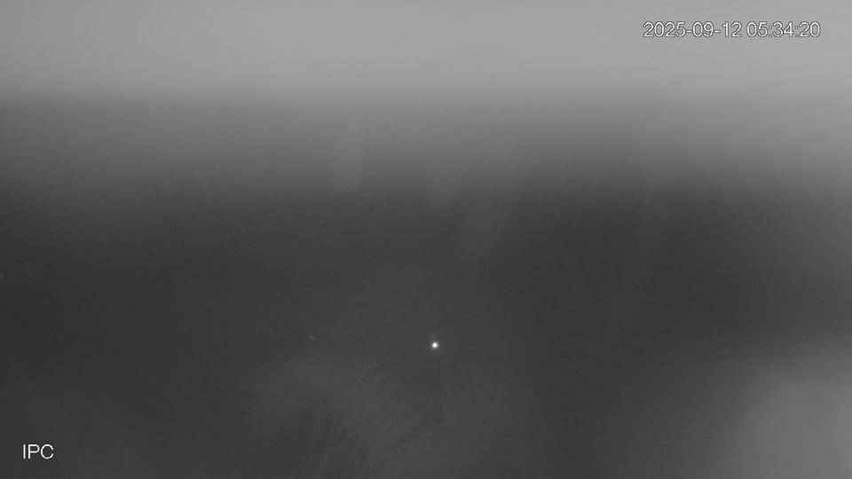Webcam live 