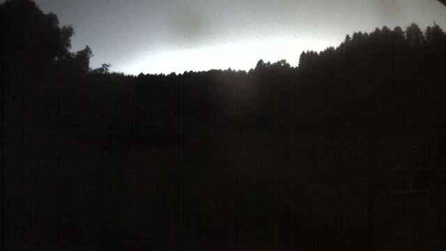Webcam live 
