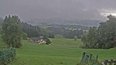 Webcam live 