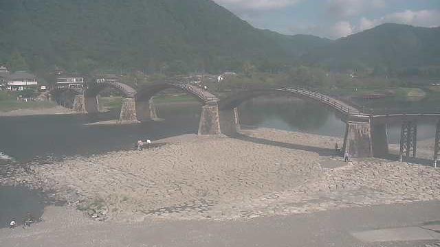Webcam live 