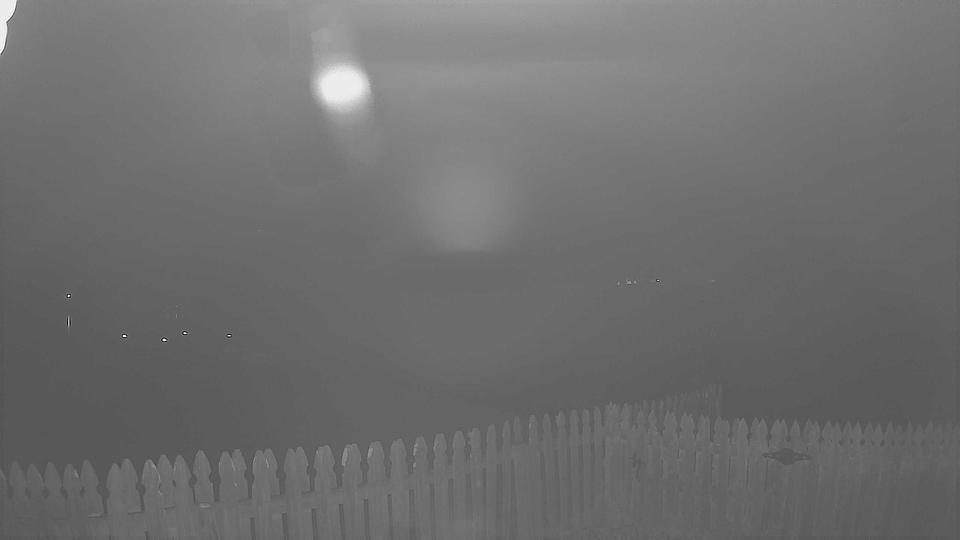 Webcam live 
