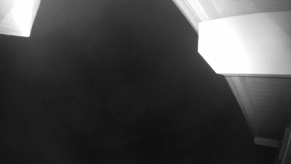 Webcam live 
