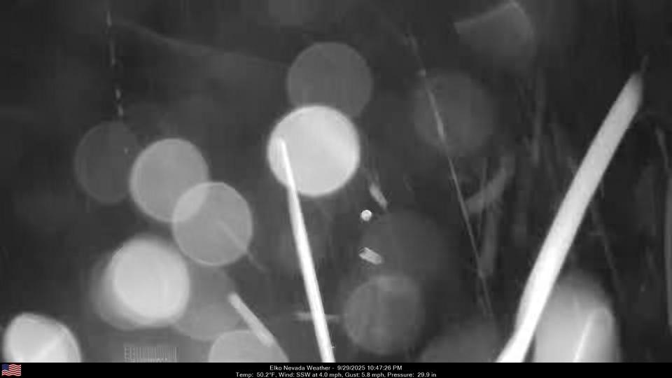 Webcam live 