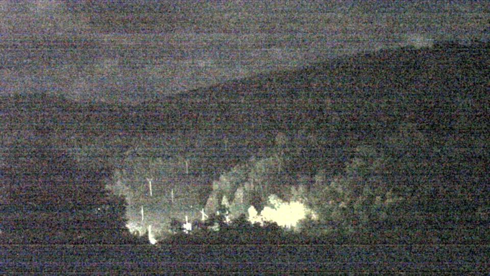 Webcam live 