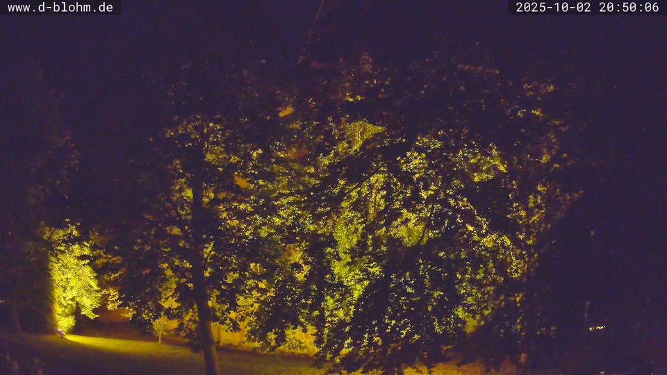 Webcam live 