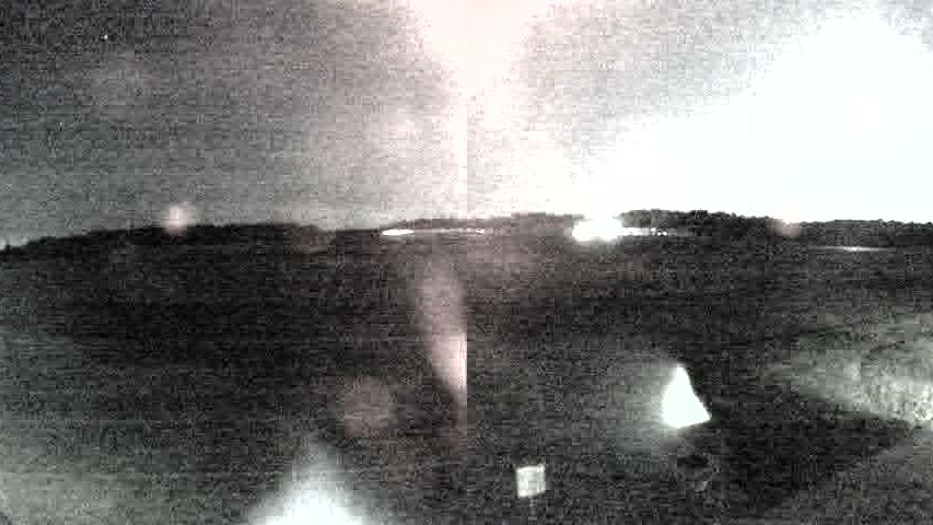 Webcam live 