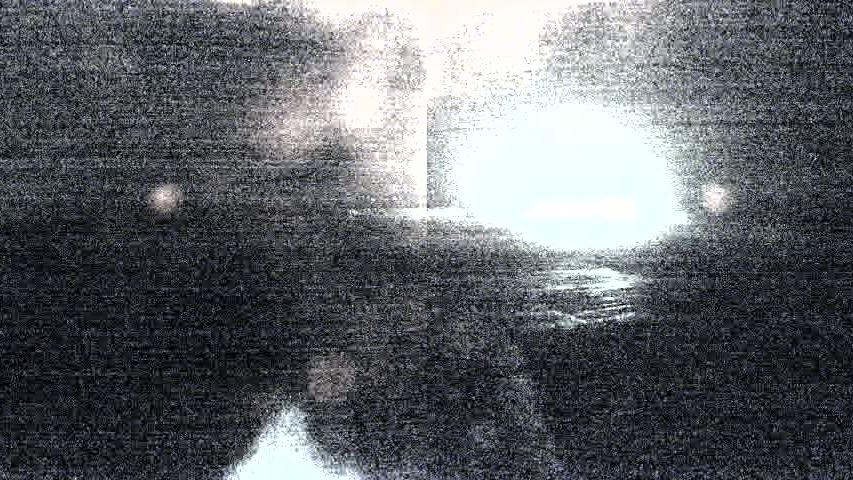 Webcam live 