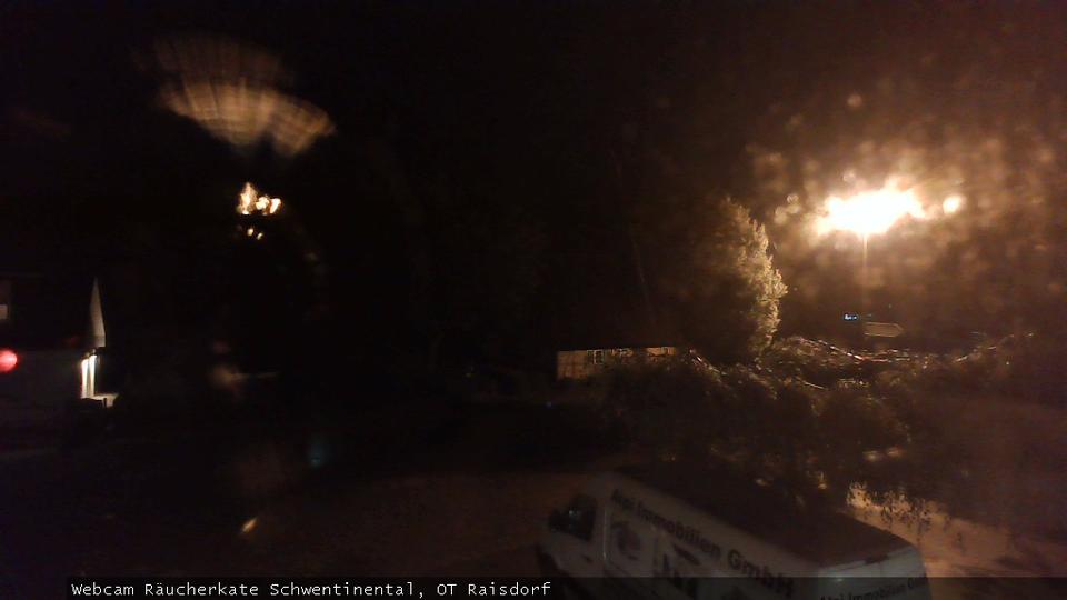 Webcam live 