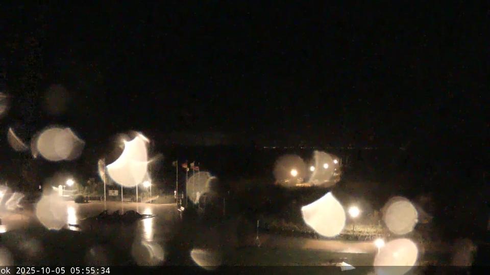 Webcam live 