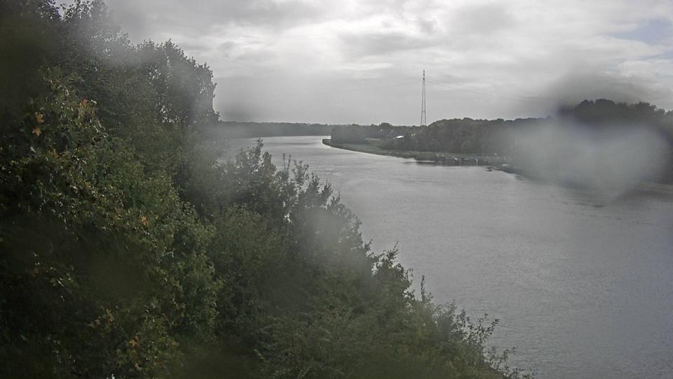 Webcam live 