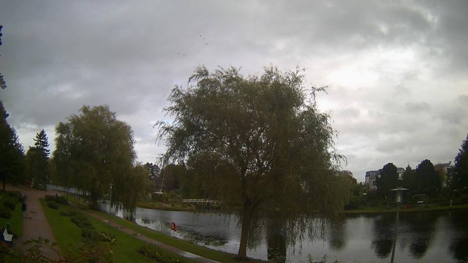 Webcam live 