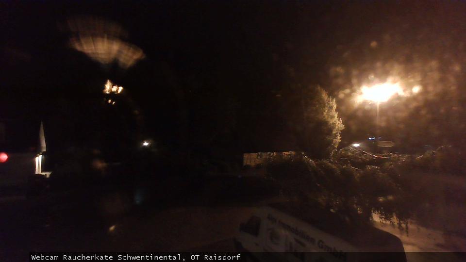 Webcam live 