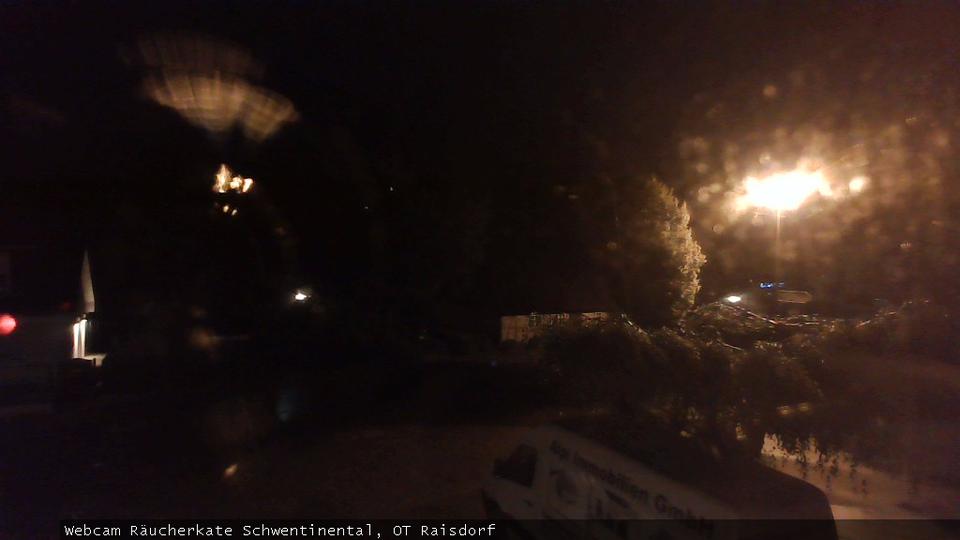 Webcam live 