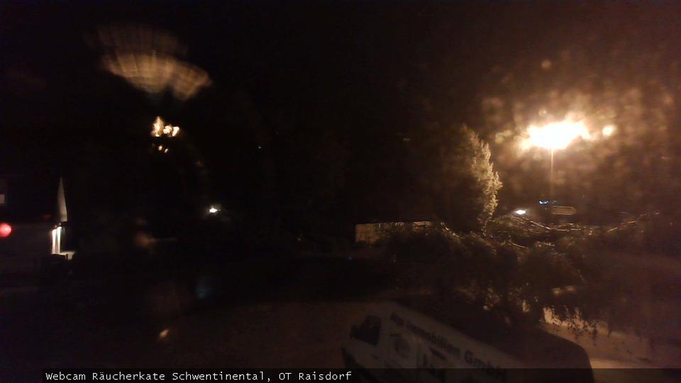 Webcam live 