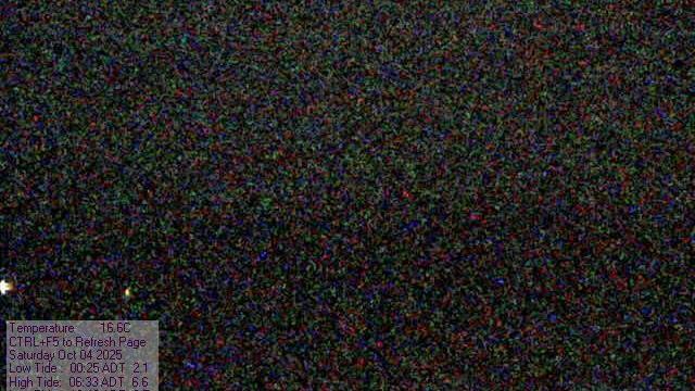 Webcam live 