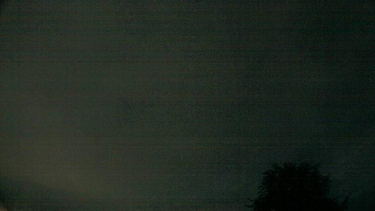 Webcam live 