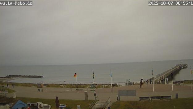 Webcam live 