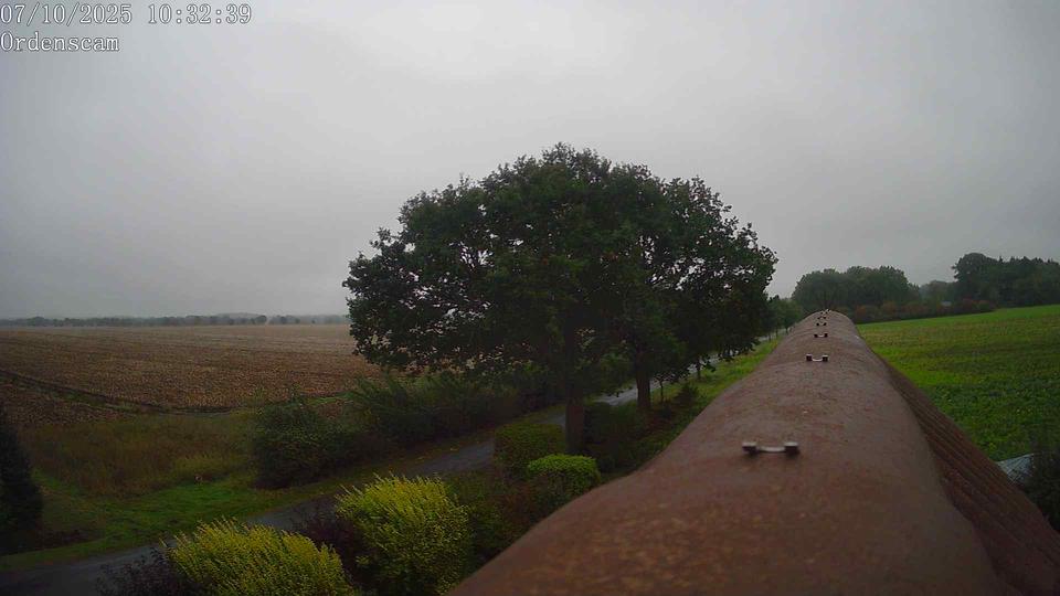 Webcam live 
