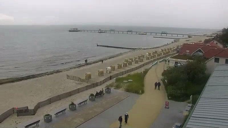 Webcam live 