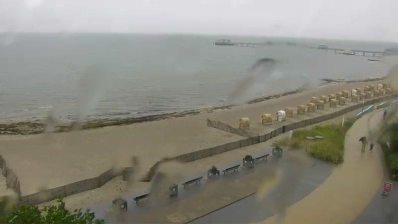 Webcam live 