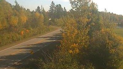 Webcam live 