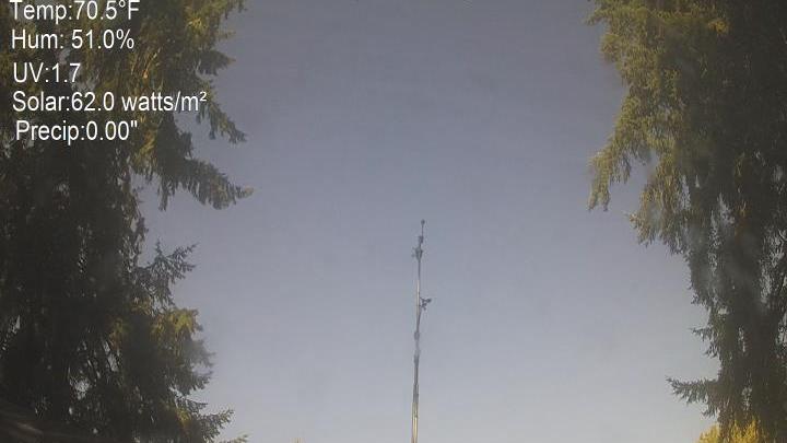 Webcam live 