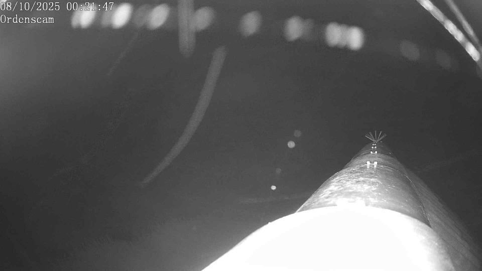 Webcam live 