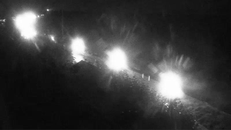 Webcam live 