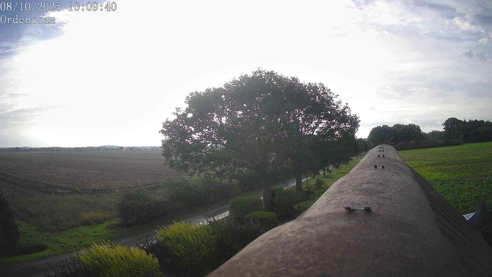 Webcam live 