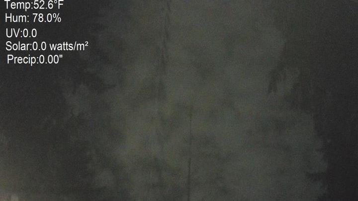 Webcam live 
