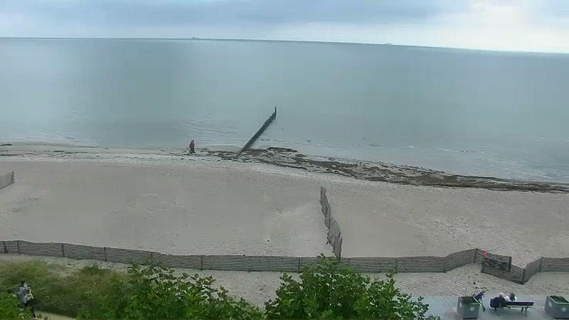 Webcam live 