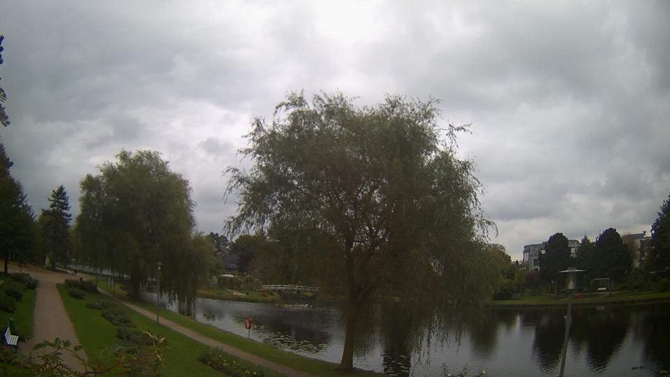 Webcam live 