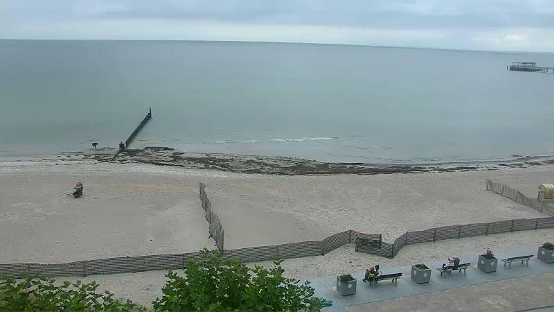 Webcam live 