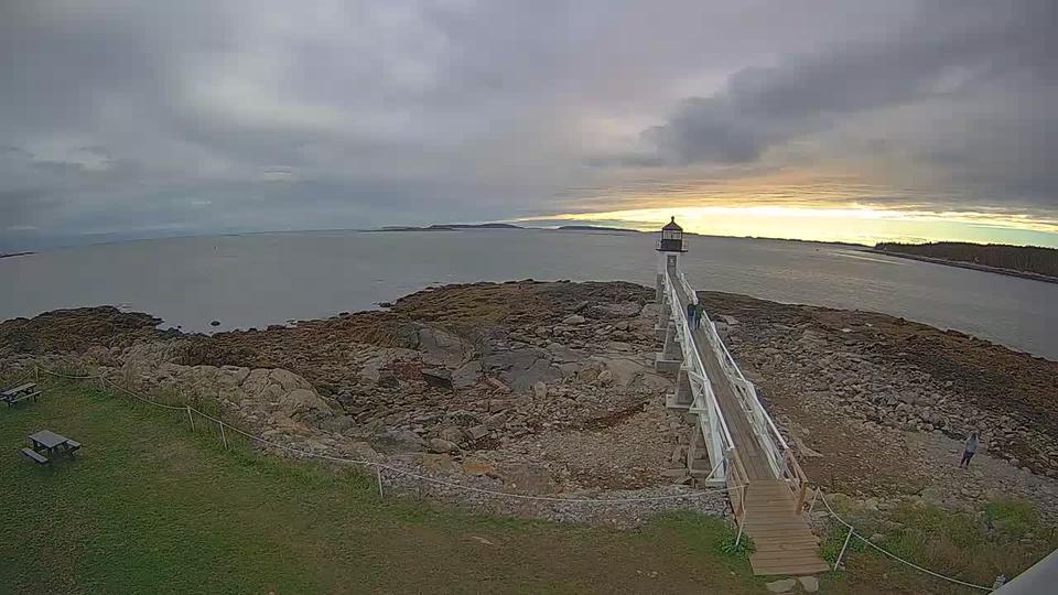 Webcam live 