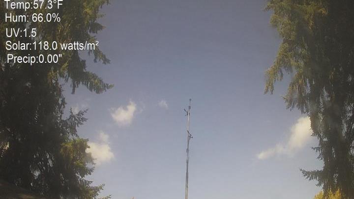 Webcam live 