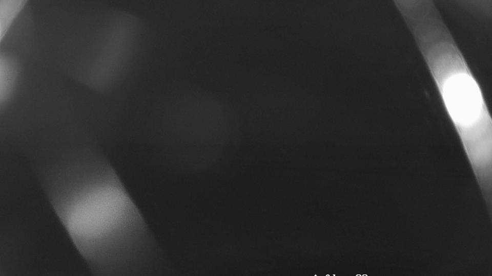 Webcam live 