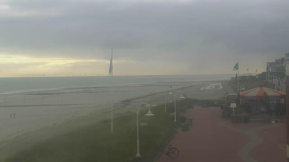 Webcam live 