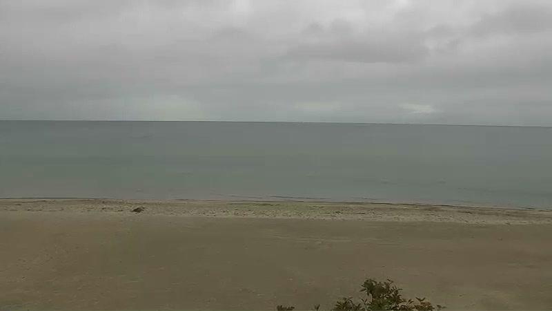 Webcam live 