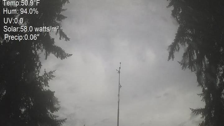 Webcam live 
