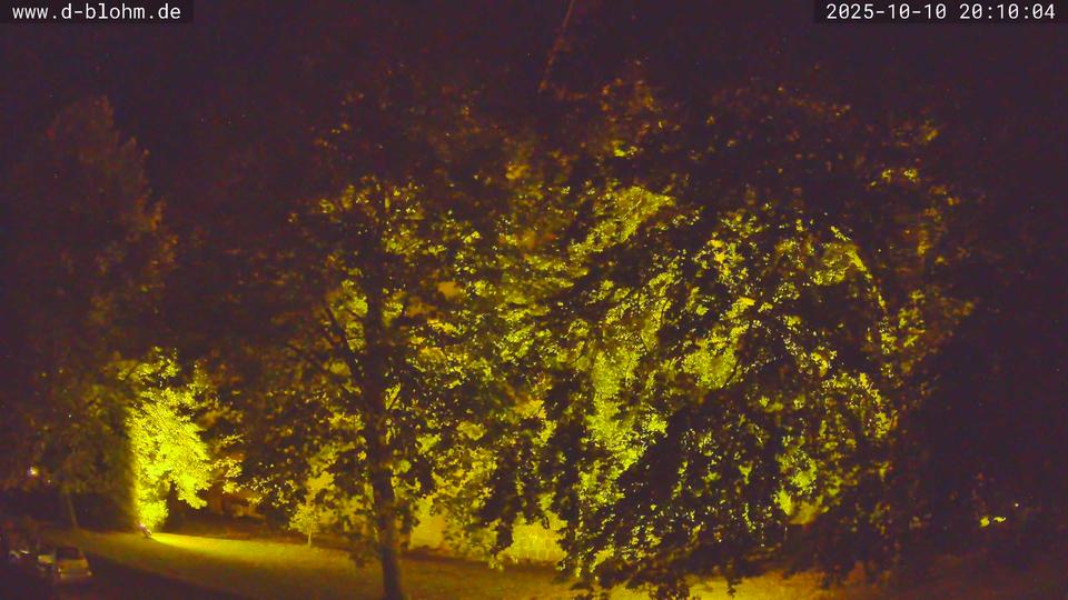 Webcam live 